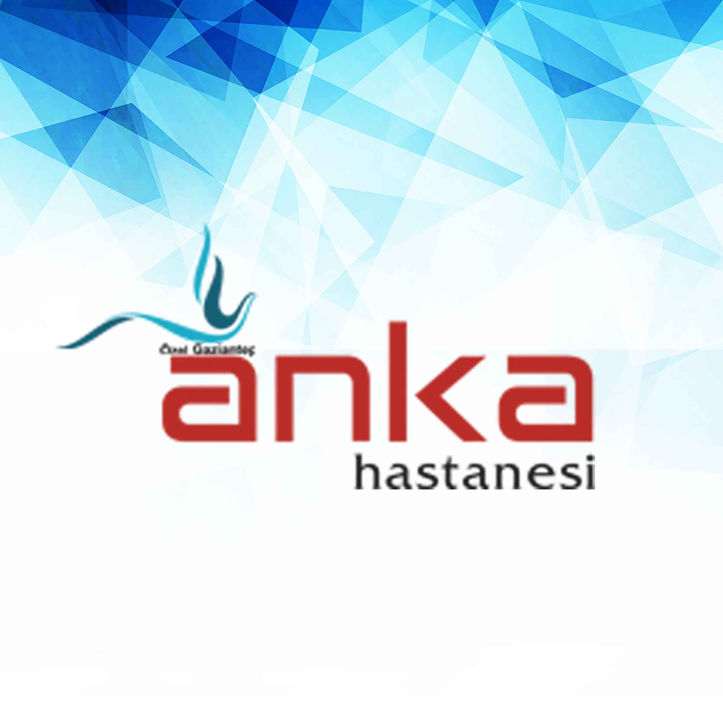 Anka Hastanesi
